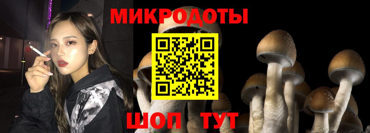 Псилоцибиновые грибы мухоморы  Вход с VPN  Псилоцибиновые грибы ЛСД  Муравленко 